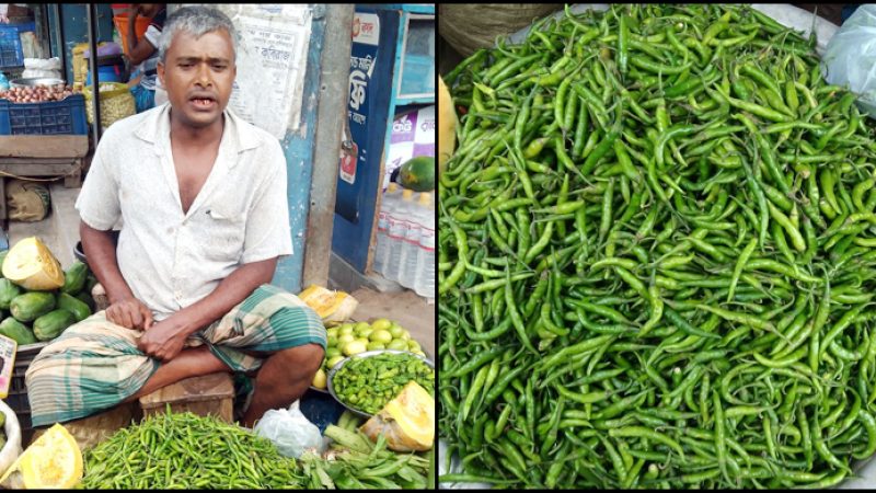 বরগুনায় কাঁচা মরিচের দাম কেজিতে বেড়েছে ৪০ টাকা