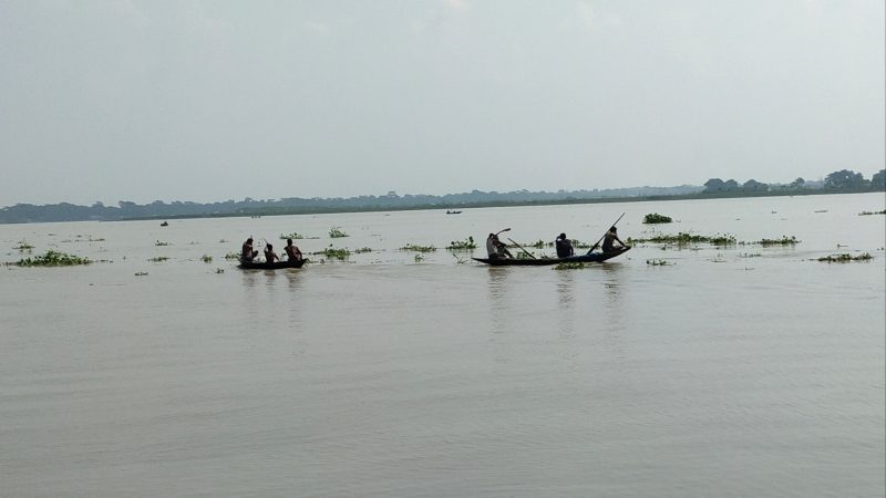 সুগন্ধা ও বিষখালী নদীতে বেপরোয়া মৌসুমি জেলেরা, অবাধে চলছে মা ইলিশ নিধন