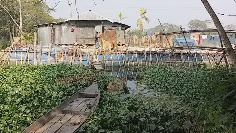 উজিরপুরে কালবিলায় সরকারি খাল দখল করে বসতবাড়ি নির্মাণ
