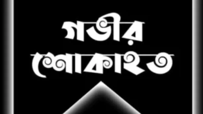 বামরাইল ইউনিয়ন বিএনপির সভাপতি যুগলু’র মায়ের মৃত্যুতে বিভিন্ন মহলের শোক