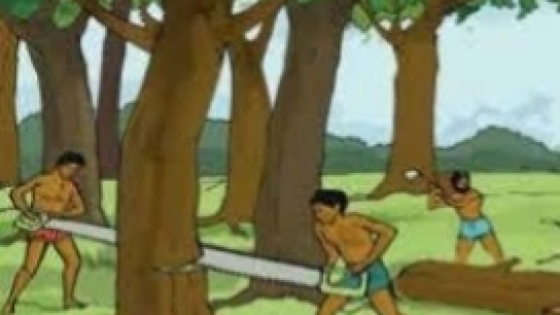 বরিশালে চাঁদার টাকা না পেয়ে জমির গাছ কর্তন